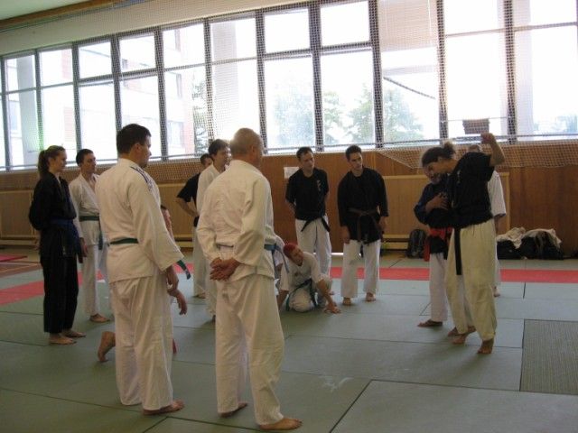 obrázek: Žďár hostil mezinárodní seminář Ju-Jitsu