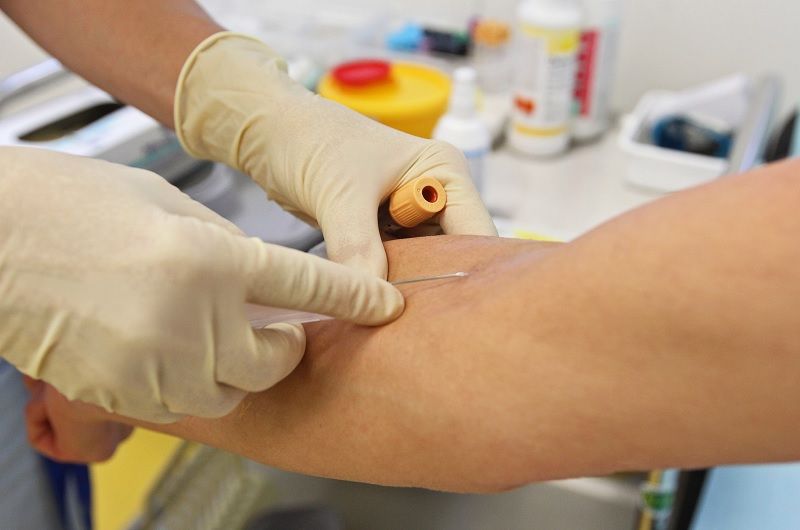 obrázek: Zdravotníci poradí s pokousáním od psa i netopýra