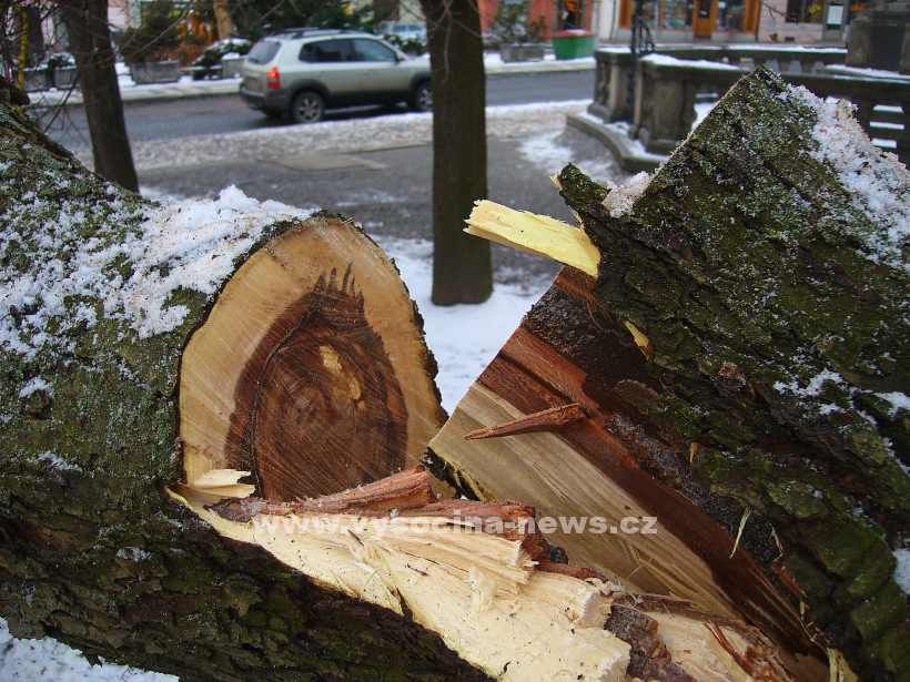 Zeleň v centru Brodu ustupuje revitalizaci