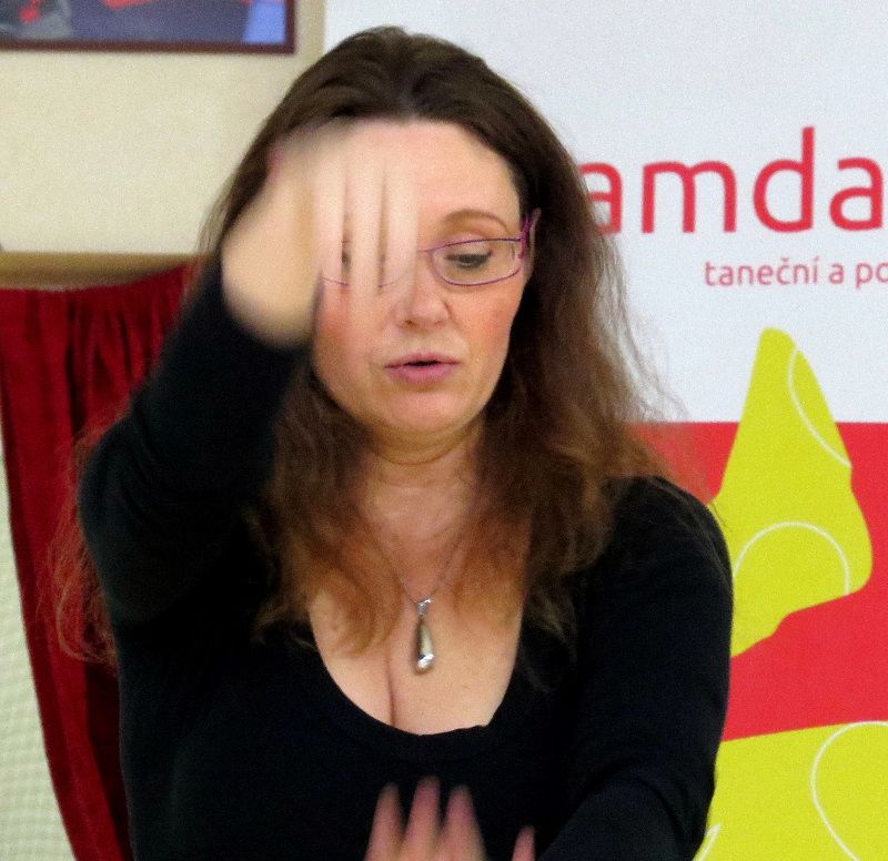 obrázek: Ženy se v sobotu v Kamenici vlnily v rytmu břišních tanců