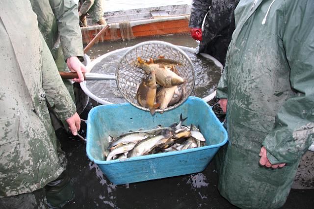 Žirovnický Budín ožije dětskými závody