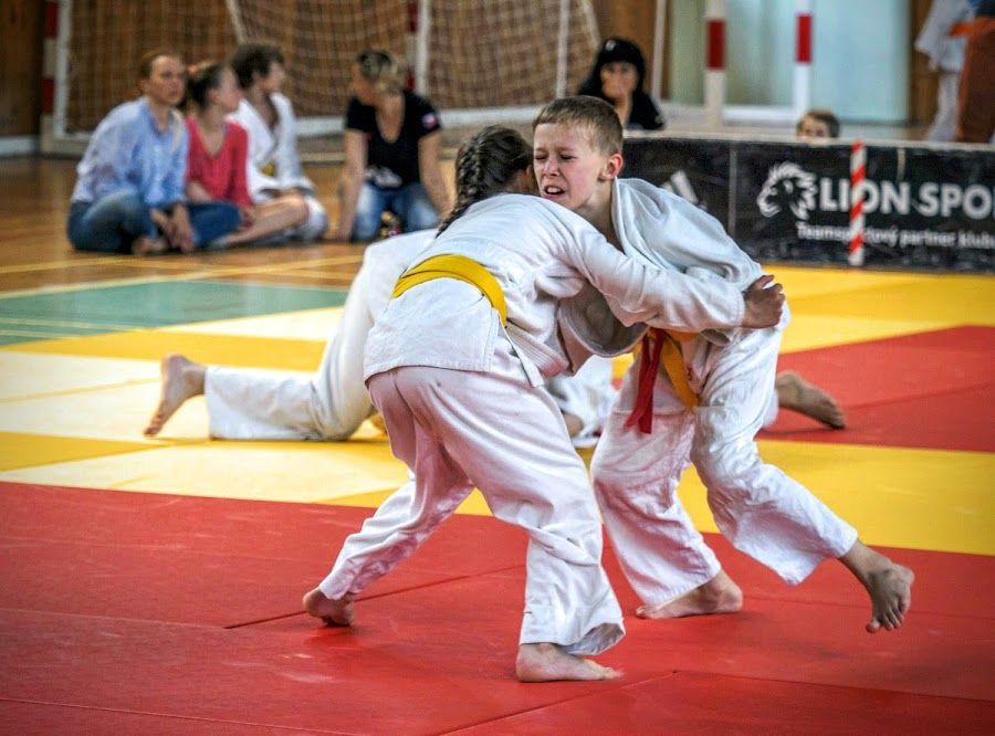 obrázek: Zlatá a stříbrná medaile z Judo Talentu v Jihlavě pro třebíčské judisty