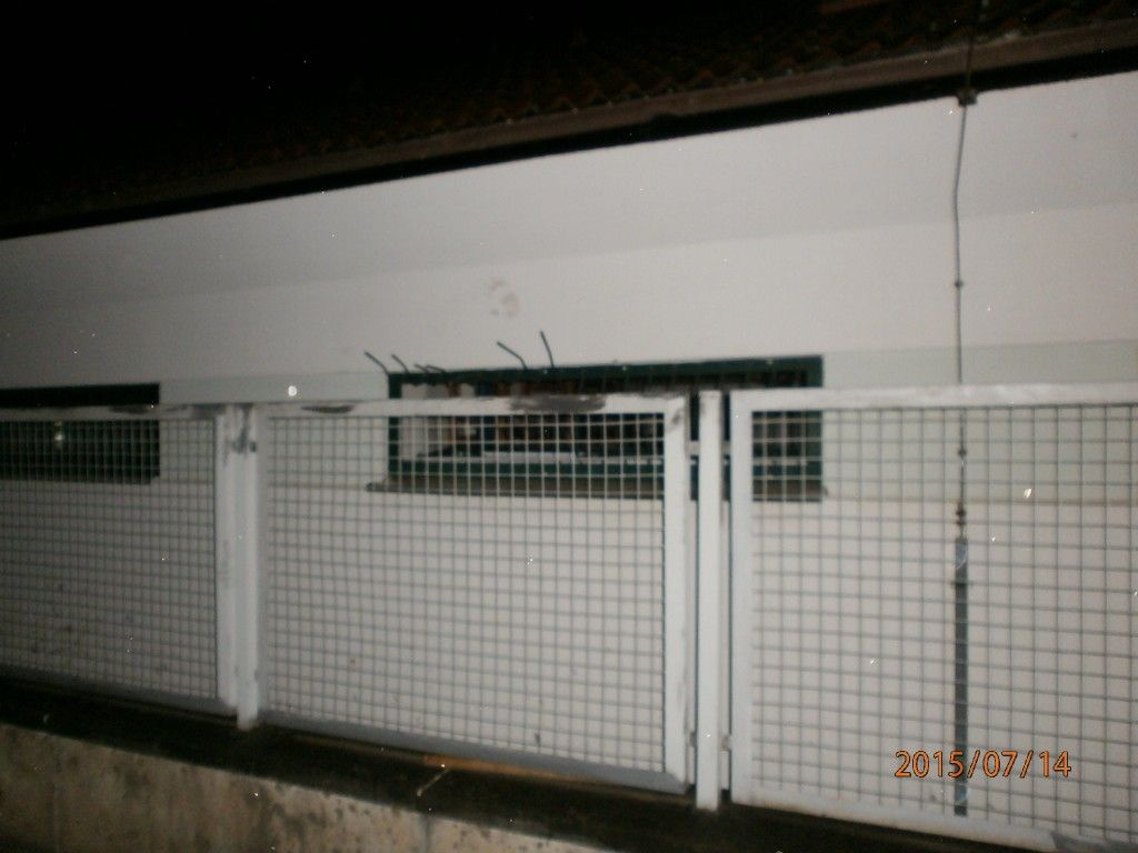 Zloděj utekl s nepořízenou