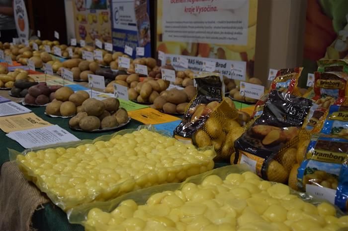 obrázek: Pěstitelé potvrzují pokles výnosů brambor