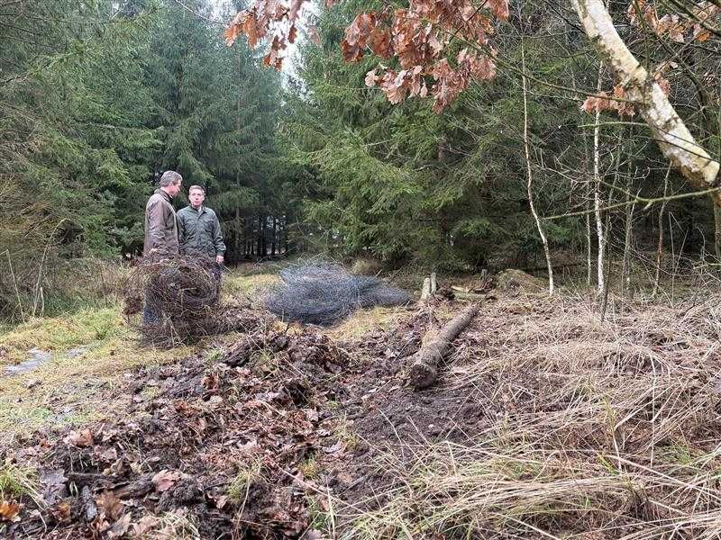 Hrozba kůrovce na Vysočině: Novela zákona pomůže od 2026