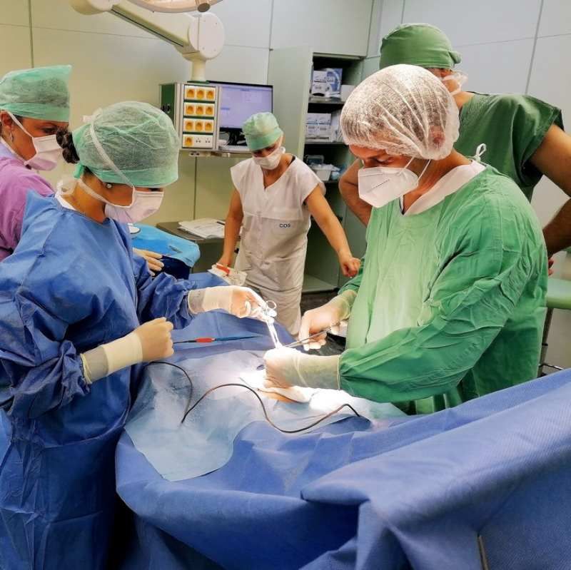 Nemocnice na Vysočině lákají mediky kempovými nabídkami a kariérními možnostmi