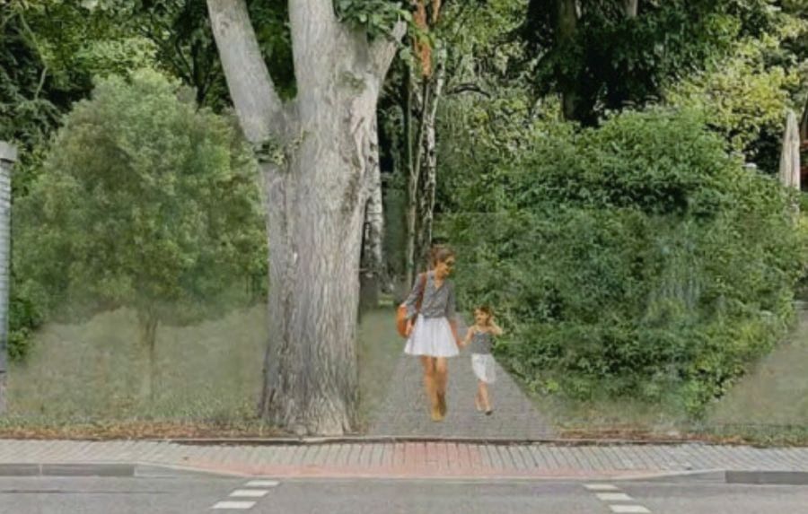 Park psychiatrické nemocnice v Havlíčkově Brodě čeká rozsáhlá obnova