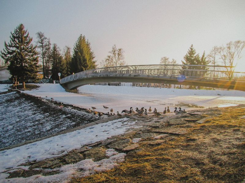 obrázek: Milujeme Jihlavu