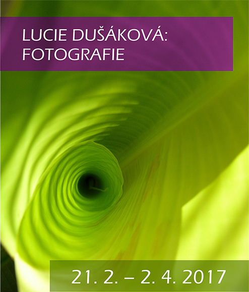 Lucie Dušáková vystavuje v jihlavském muzeu