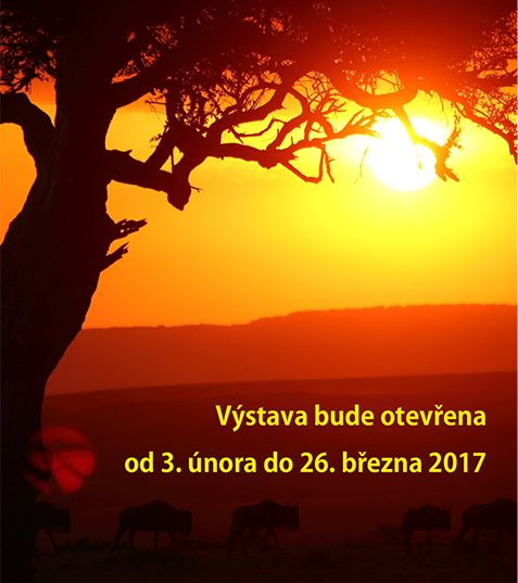 obrázek: O národních parcích Keni v jihlavském muzeu