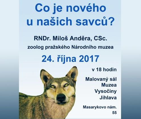 obrázek: O našich savcích v jihlavském muzeu
