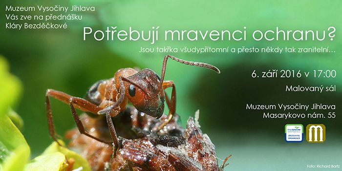 obrázek:  Potřebují mravenci ochranu? Zodpoví v Jihlavě