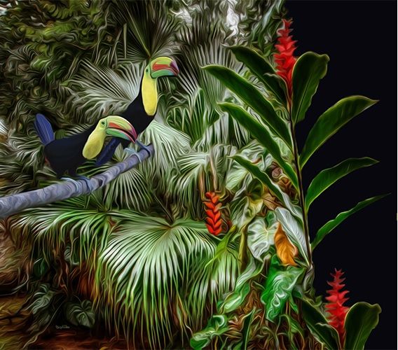 obrázek: Tropy v Jihlavě 