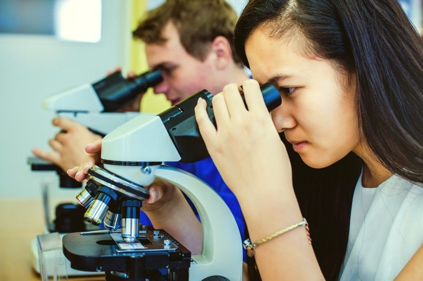 V Třebíčí budou mít naučnou stezku o horninách a minerálech