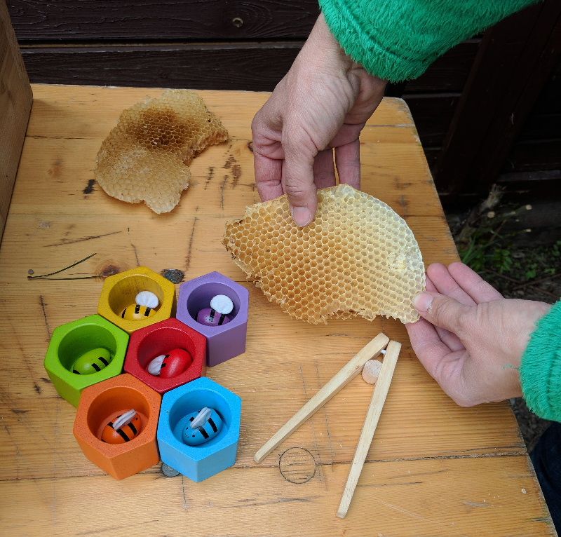 Zahrada u řeky v Třebíči přijala první zahradníky