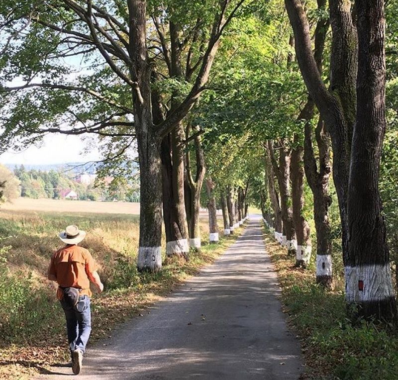Přes padesát alejí kandiduje na Ale roku 2016