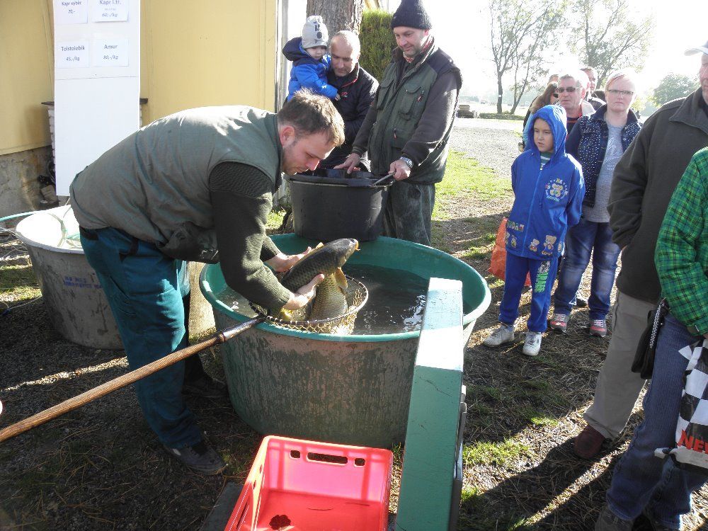 Rybí hody na Střelnici v Jaroměřicích nad Rokytnou posedmé