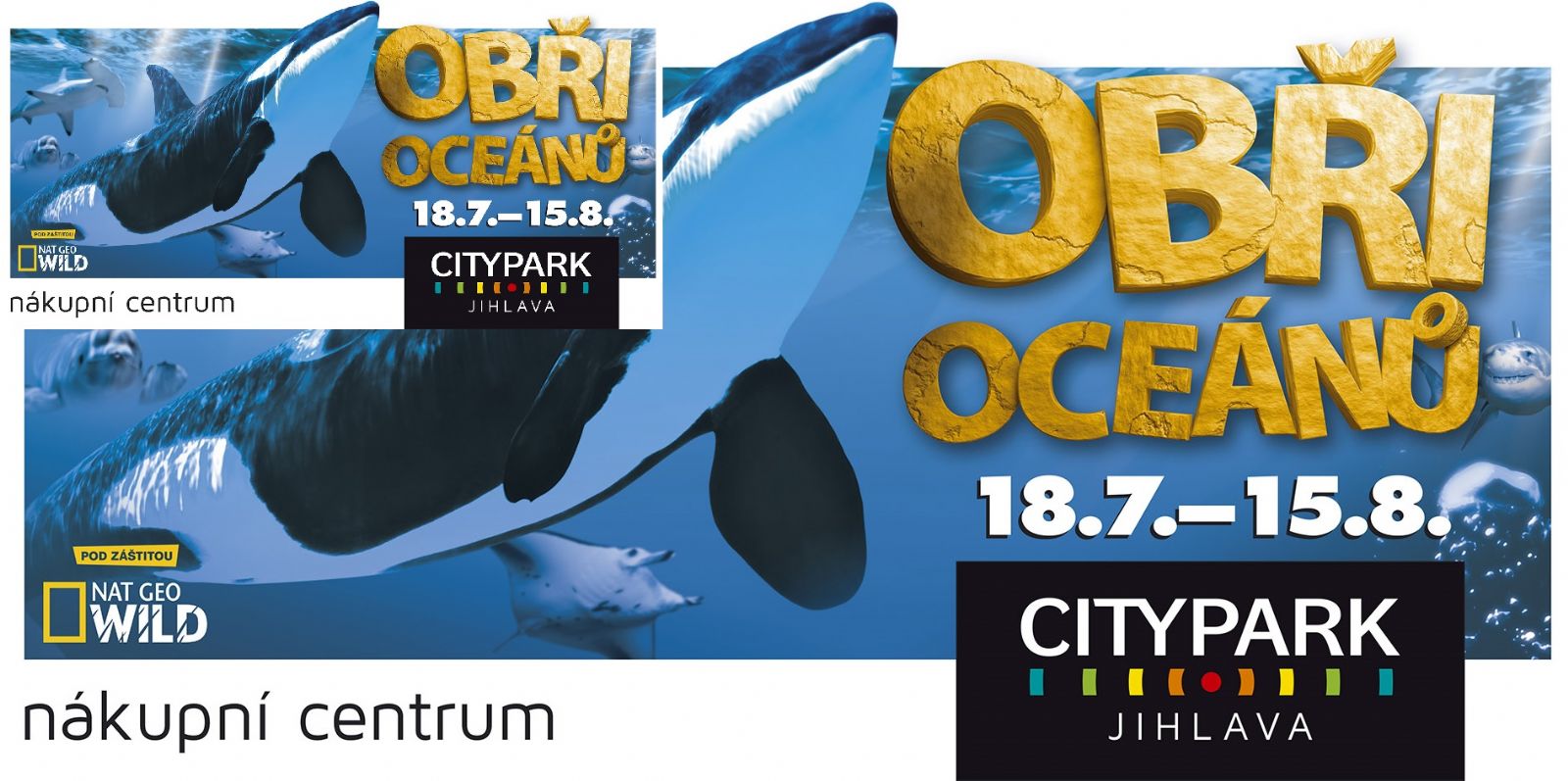 obrázek: Citypark Jihlava přivítá obry oceánů v životních velikostech