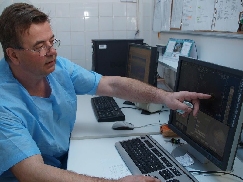 obrázek: Žloutenka už je i na Vysočině. Hygienici napočítali už šest nemocných