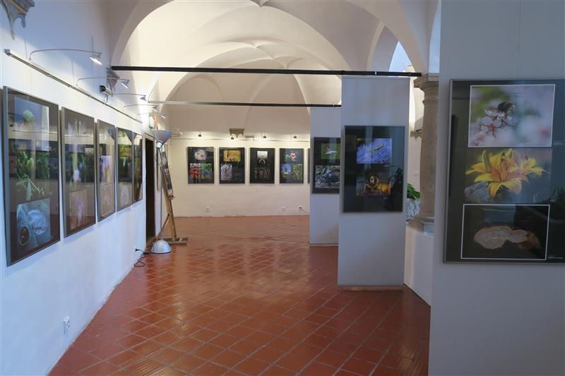 Makrofotografie zaplnily muzejní arkády v Muzeum Vysočiny Jihlava