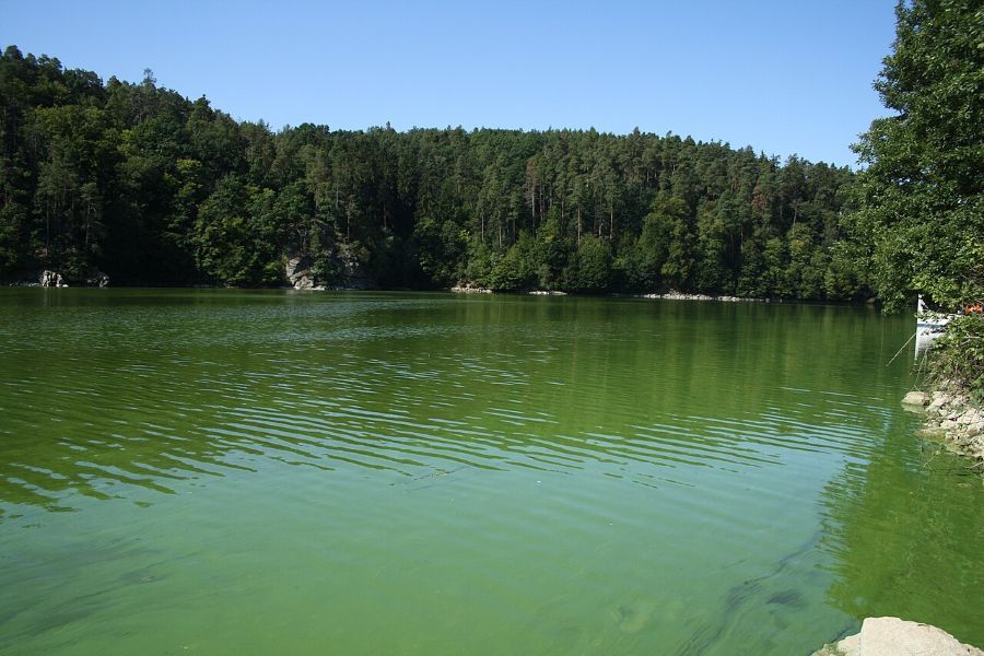 Vodní záchranáři ČČK se vracejí na Dalešickou přehradu už 27. června. Služba poběží nonstop