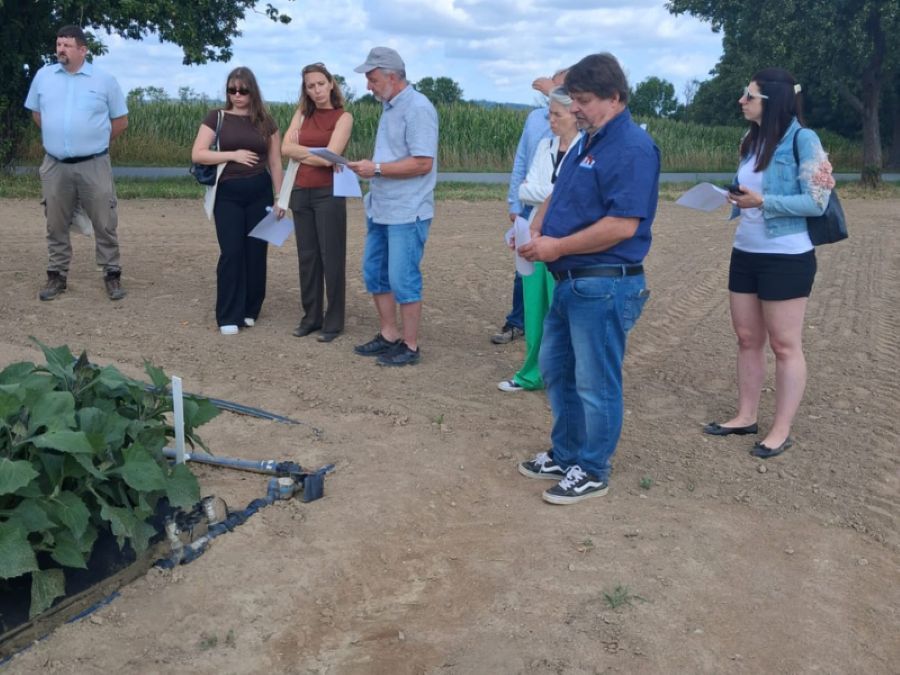 Ve Valečově testují agrovoltaiku u brambor a sóji, první výsledky ukazují hlavně vliv závlah
