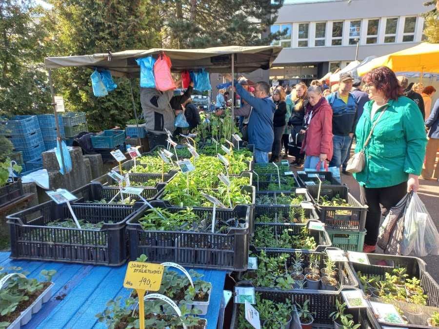 Zahrada v Havlíčkově Brodě startuje v pátek: desítky stánků i novinky pro zahrádkáře