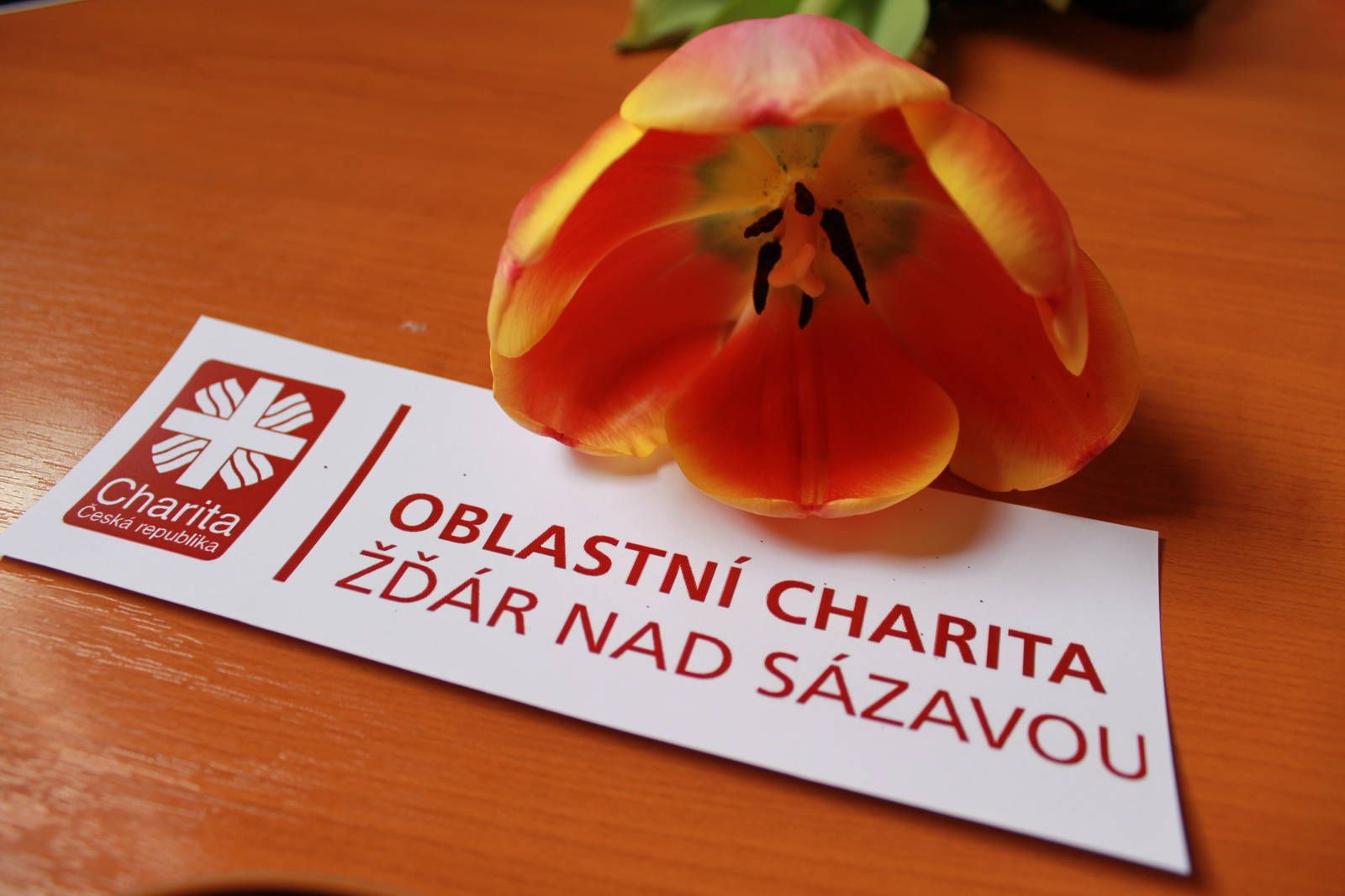 obrázek: Žďárská Charita otevírá své dveře v rámci Týdne sociálních služeb