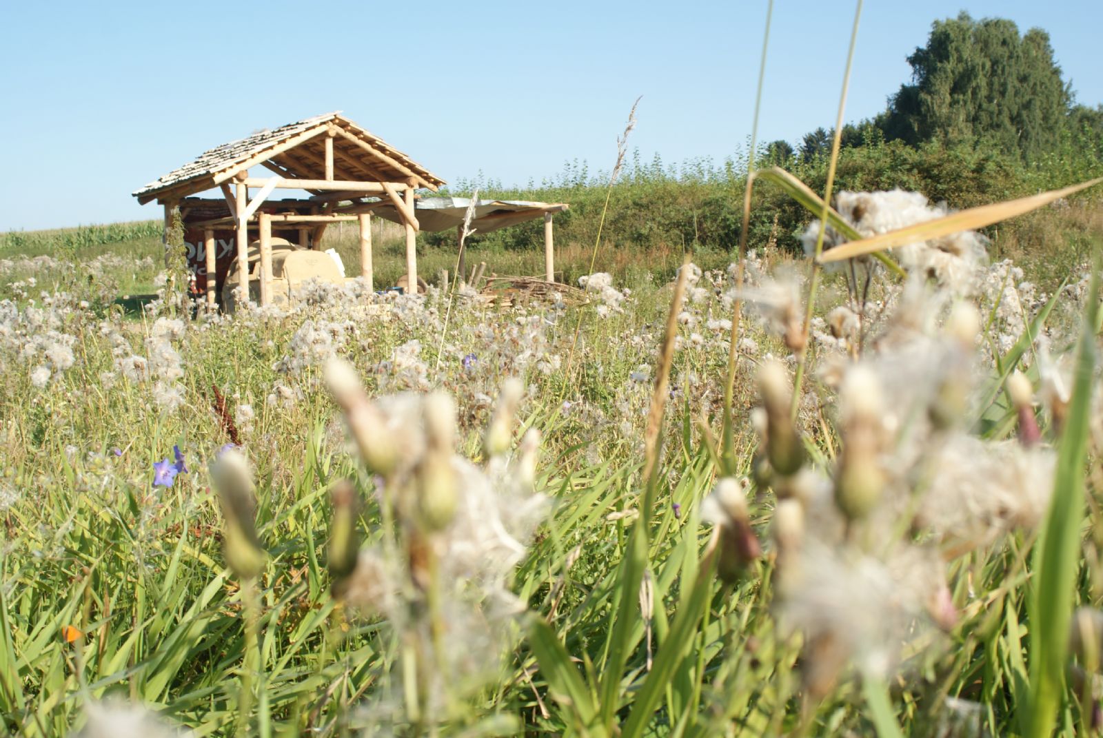 V Havlíčkovom Brode ožíva stredoveké sklárstvo