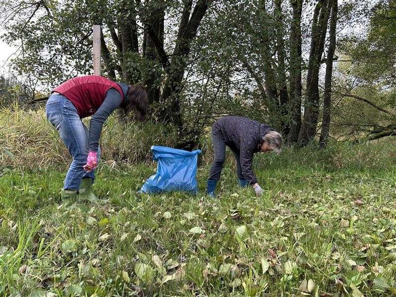 Dobrovolníci z Vysočiny zachraňují rašeliniště a podporují biodiverzitu