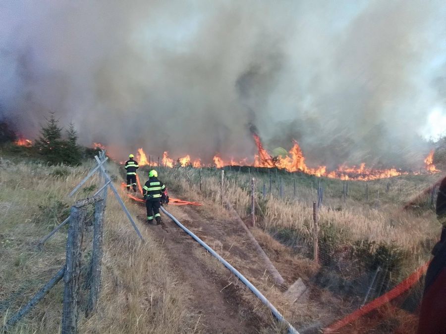 Požár lesa u Studence zaměstnal 18 jednotek. Hasiči nasadili i vrtulník s bambivakem