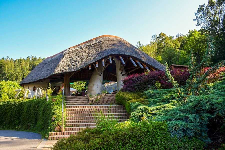 ZOO Jihlava: Nové výběhy pro kočky za 9,3 mil. Kč