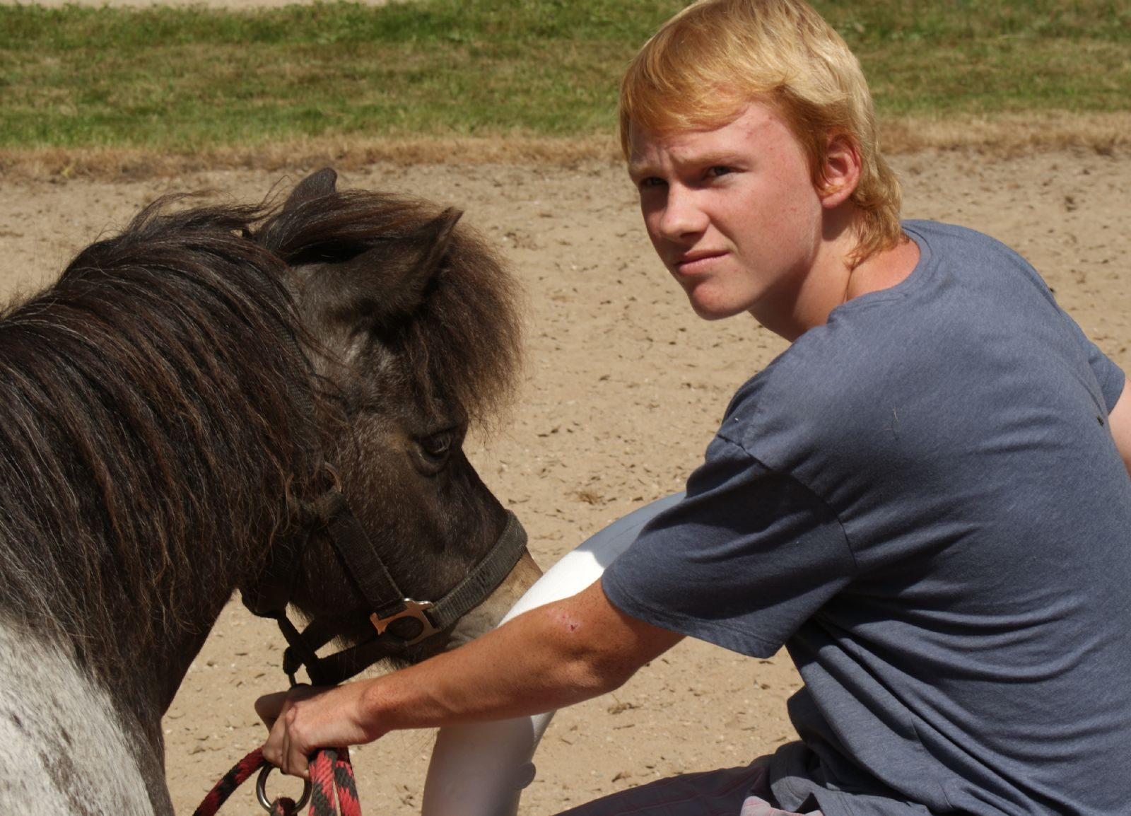 Chorým pomáhajú kone, zdravým návšteva psychiatrickej nemocnice