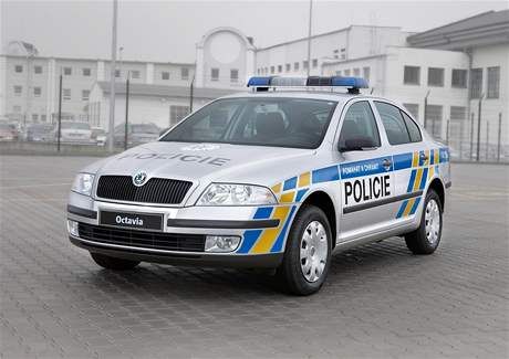 obrázek: Policisté žádají veřejnost o spolupráci