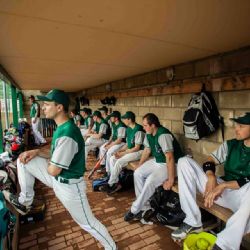 Brodští softbalisté vyhráli základní část extraligy