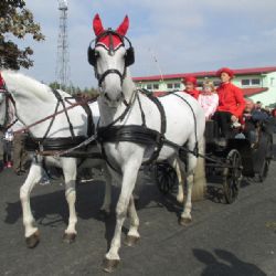 Chovatelský den ve Vilémově