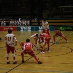 Florbalisté z Vysočiny do play-off vstoupili špatně