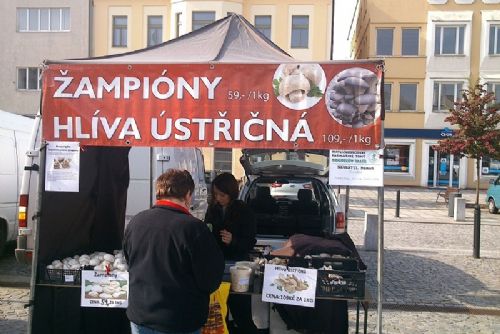 Obrázek - Koudelův talíř o víkendu v Brodě