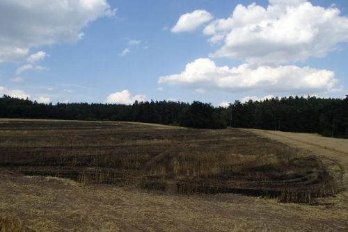 Foto: Zemědělci na Vysočině sklidili loni 206 tisíc tun brambor a 442 tisíc tun pšenice