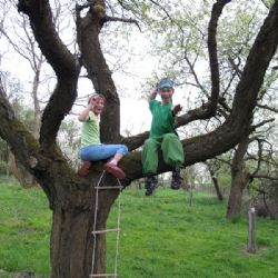 Nová alternativní škola se otevírá v Chotěboři