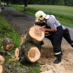 Silný vítr na Vysočině lámal stromy a odnášel plechy ze střech