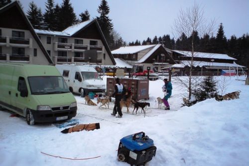 Obrázek - Tři Studně: závody psích spřežení přilákaly spoustu diváků