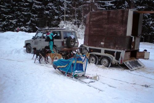Obrázek - Tři Studně: závody psích spřežení přilákaly spoustu diváků