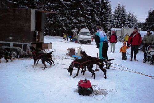 Obrázek - Tři Studně: závody psích spřežení přilákaly spoustu diváků
