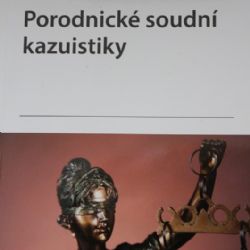 Zákulisí skutečných soudních případů nově v knize