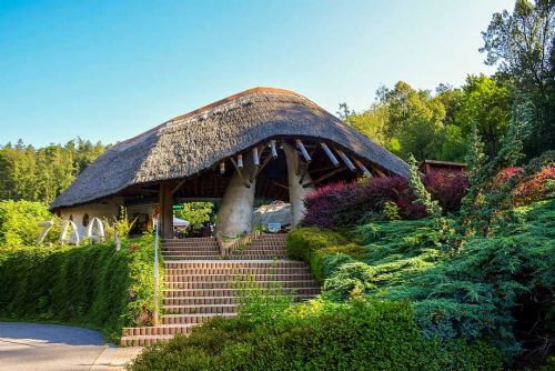 Foto: Nové ohrožené hroší mládě v jihlavské zoo se poprvé potápí a baví návštěvníky