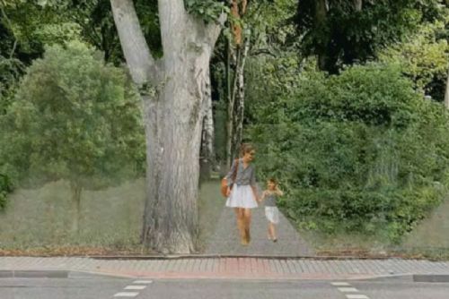 obrázek:Park psychiatrické nemocnice v Havlíčkově Brodě čeká rozsáhlá obnova