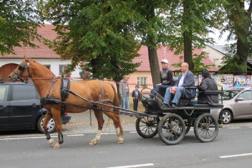 Obrázek - 