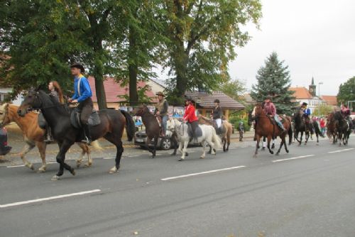 Obrázek - 