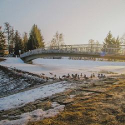 Milujeme Jihlavu
